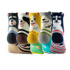 Pack Of 5 Pairs Of Cartoon Socks