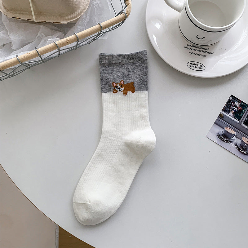 Multicolor 1