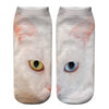 Creative Cat Print Socks