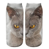 Creative Cat Print Socks