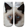 Creative Cat Print Socks