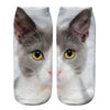 Creative Cat Print Socks