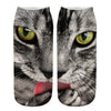 Creative Cat Print Socks