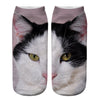 Creative Cat Print Socks