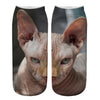 Creative Cat Print Socks