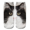 Creative Cat Print Socks