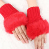 Warm Plush Gloves