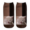 Creative Cat Print Socks