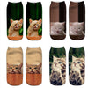 Creative Cat Print Socks