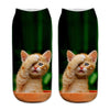 Creative Cat Print Socks