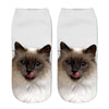 Creative Cat Print Socks