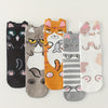 Pack of 5 Pairs Of Cartoon Socks