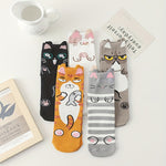 Pack of 5 Pairs Of Cartoon Socks